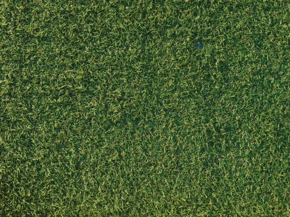Close-up of artificial grass fibres that stay upright with light maintenance